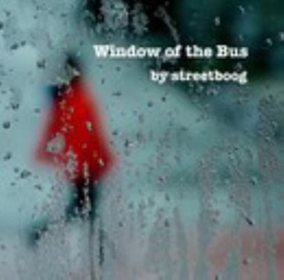 Window of the Bus            Book Cover