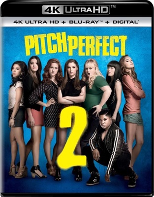 Pitch Perfect 2            Book Cover