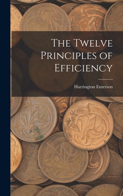The Twelve Principles of Efficiency 1015658121 Book Cover