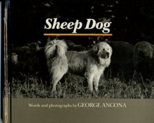 Sheep Dog 0688041191 Book Cover