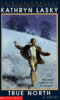 True North: A Novel of the Underground Railroad 061308960X Book Cover