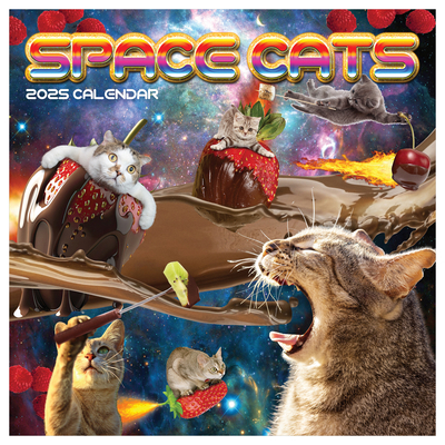 Cal 2025- Space Cats Wall            Book Cover