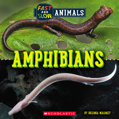 Amphibians (Wild World: Fast and Slow Animals) 1338836471 Book Cover