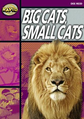 Rapid Reading: Big Cats Small Cats (Stage 1, Le... 0435907840 Book Cover