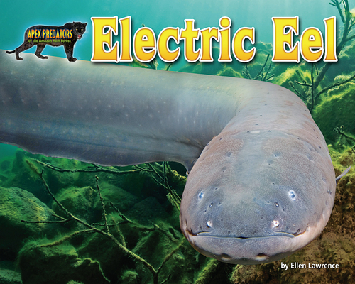 Electric Eel 164280746X Book Cover