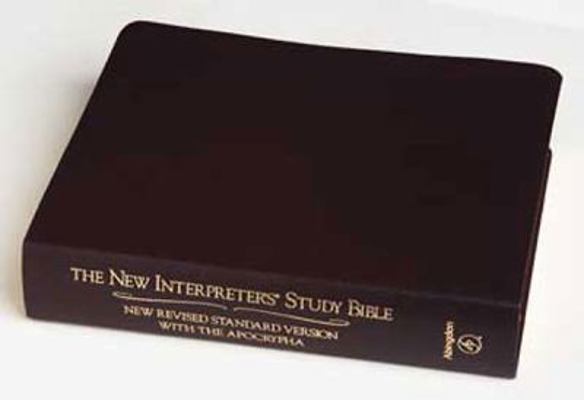 New Interpreter's Study Bible-NRSV 0687073499 Book Cover