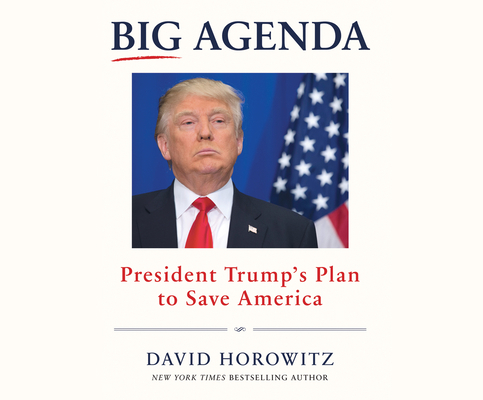 Big Agenda: President Trump's Plan to Save America 1520073437 Book Cover
