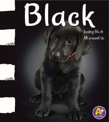 black-seeing_black_all_around_us B007398242 Book Cover