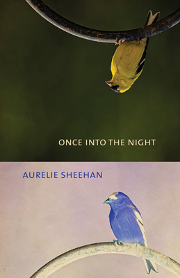 Once Into the Night 157366071X Book Cover