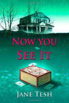 Now You See It (A Grace Street Mystery) 1335455337 Book Cover