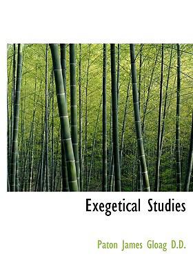 Exegetical Studies 1117625311 Book Cover