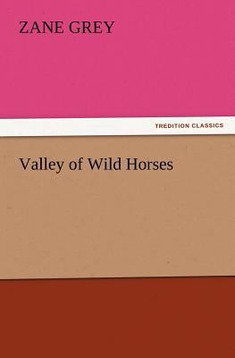 Valley of Wild Horses 3847222465 Book Cover