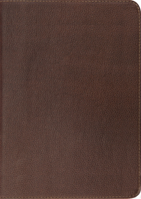 Study Bible-ESV: To Understand the Bible in a D... 1433521784 Book Cover