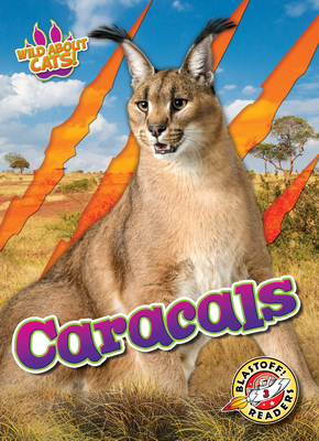 Caracals B0DCXX7TXM Book Cover