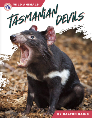 Tasmanian Devils B0DVJ6WXQB Book Cover