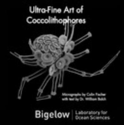 Ultra-Fine Art of Coccolithophores