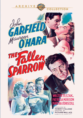 The Fallen Sparrow B002E7GAJM Book Cover