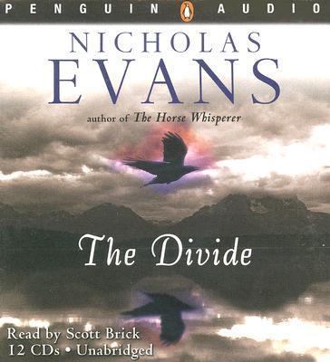 The Divide            Book Cover