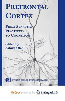 Prefrontal Cortex: From Synaptic Plasticity to Cognition 1402077661 Book Cover