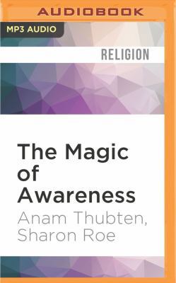 The Magic of Awareness 1536644412 Book Cover