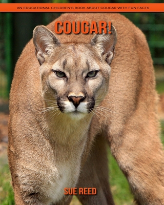 Paperback Cougar! An Educational Children's Book about Cougar with Fun Facts [Large Print] Book