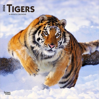 Tigers 2026 12 X 24 Inch (Hanging) Monthly Squa... B0DYKSB3HT Book Cover