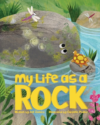 My Life as a Rock 1478885424 Book Cover