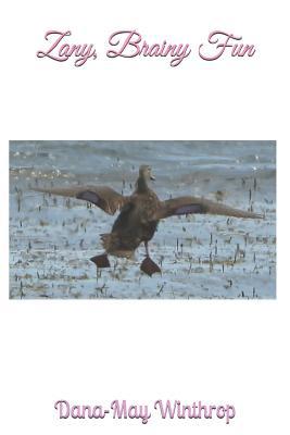 Zany, Brainy Fun 1097201031 Book Cover