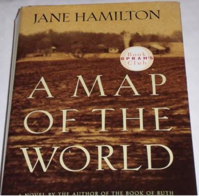 A Map Of The World (Large Print Edition) 0739408593 Book Cover