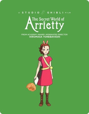 The Secret World of Arrietty            Book Cover