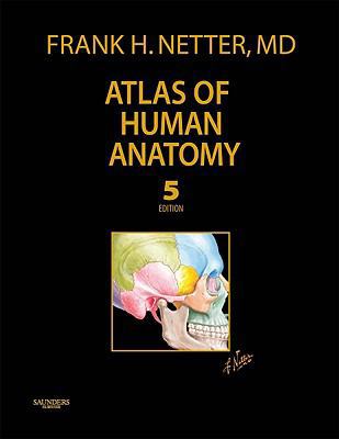 Atlas of Human Anatomy, Professional Edition: A... 1437709702 Book Cover