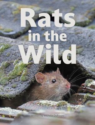 Rats in the Wild            Book Cover