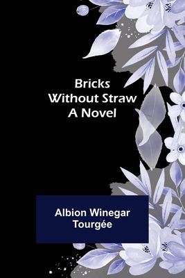 Bricks Without Straw 9356015260 Book Cover