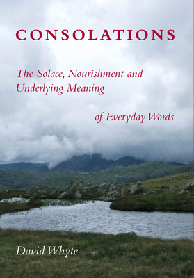 Consolations: The Solace, Nourishment and Under... 1932887369 Book Cover