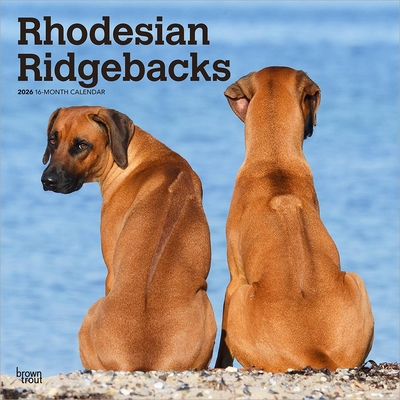 Rhodesian Ridgebacks 2026 12 X 24 Inch (Hanging... B0DYL96QGN Book Cover