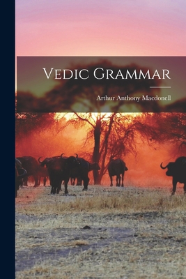 Vedic Grammar 1013573560 Book Cover