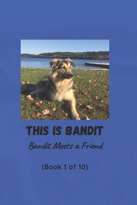 This is Bandit: Book 1: Bandit Meets a Friend B0D6K64832 Book Cover