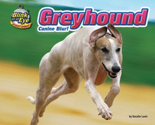 Greyhound: Canine Blur! 1936087901 Book Cover