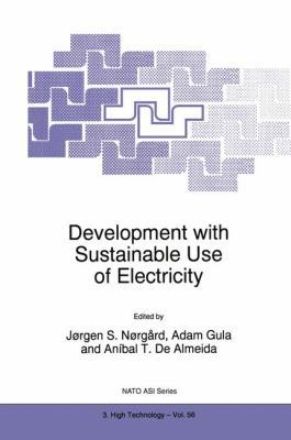 Development with Sustainable Use of Electricity 0792352173 Book Cover