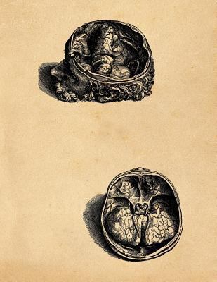 Anatomy Notebook: Andreas Vesalius - Olfactory ... 1090508182 Book Cover