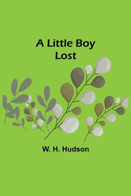 A Little Boy Lost 9356890528 Book Cover