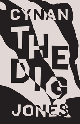 The Dig 1566893933 Book Cover