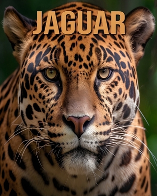 Jaguar: Learn About Jaguar and Enjoy Amazing Fa... B0DL56F4ZS Book Cover