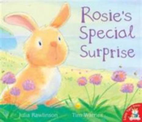 Rosie's Special Surprise 1845060903 Book Cover