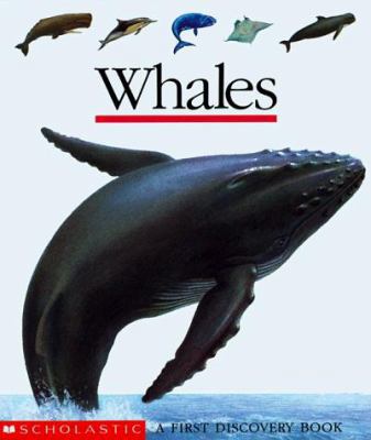 Whales 0590471309 Book Cover