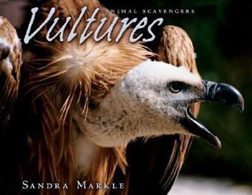 Vultures (Animal Scavengers) 082253195X Book Cover