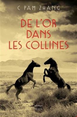 De l'or dans les collines [French] 2021395936 Book Cover