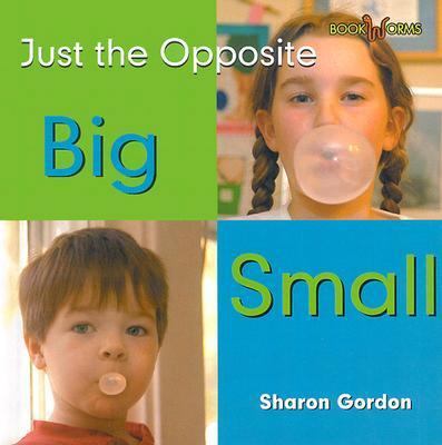 Big/Small 0761415688 Book Cover