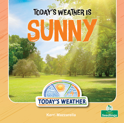 Today's Weather Is Sunny 1039892744 Book Cover