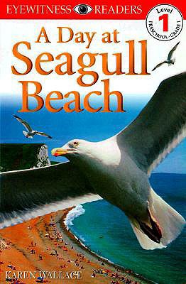 A Day at Seagull Beach 0789440024 Book Cover